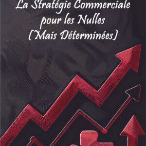 La Stratégie Commerciale pour les Nulles (Mais Déterminées) : Le Guide Anti-Galère !